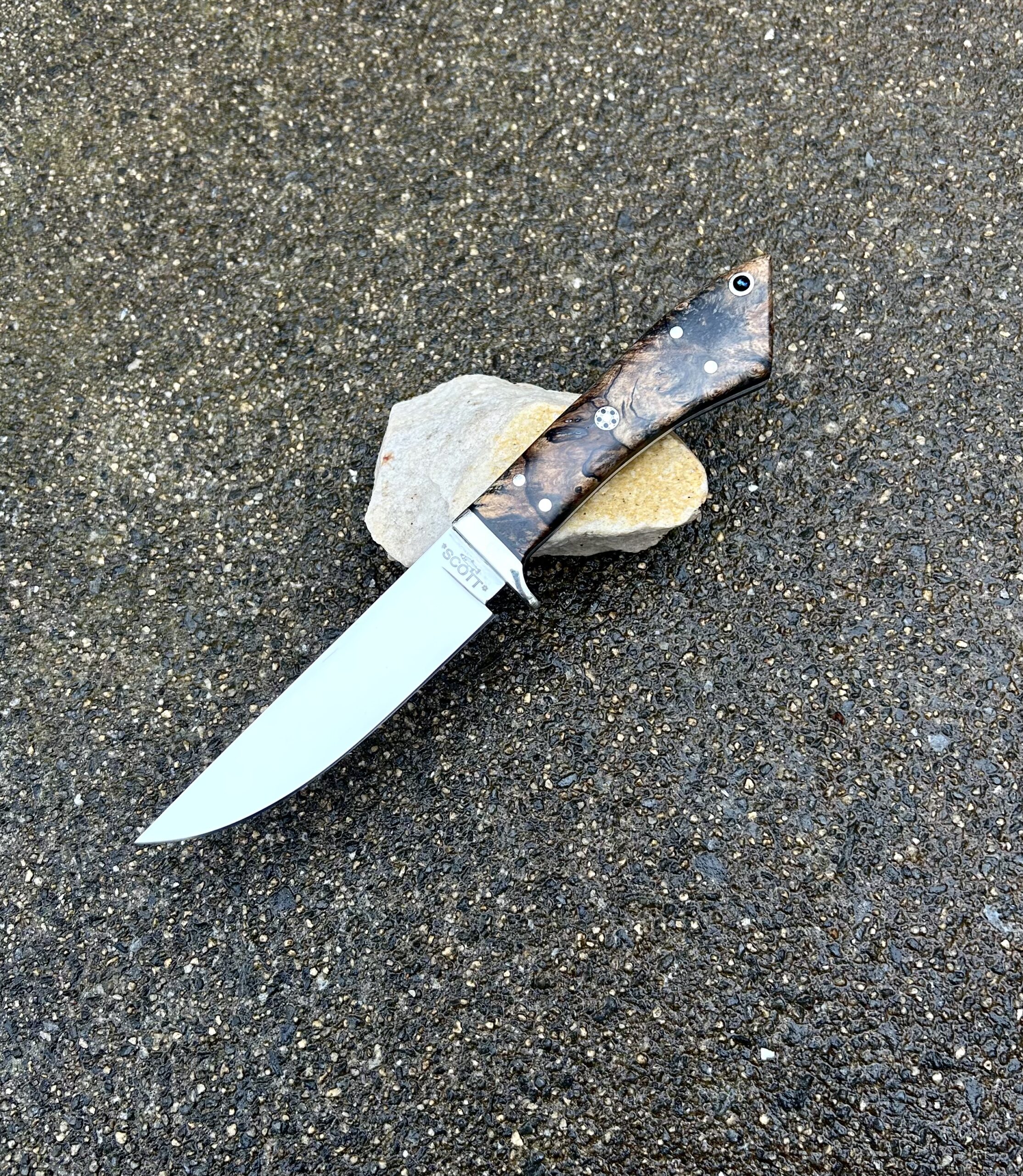 Forest VA Hunter