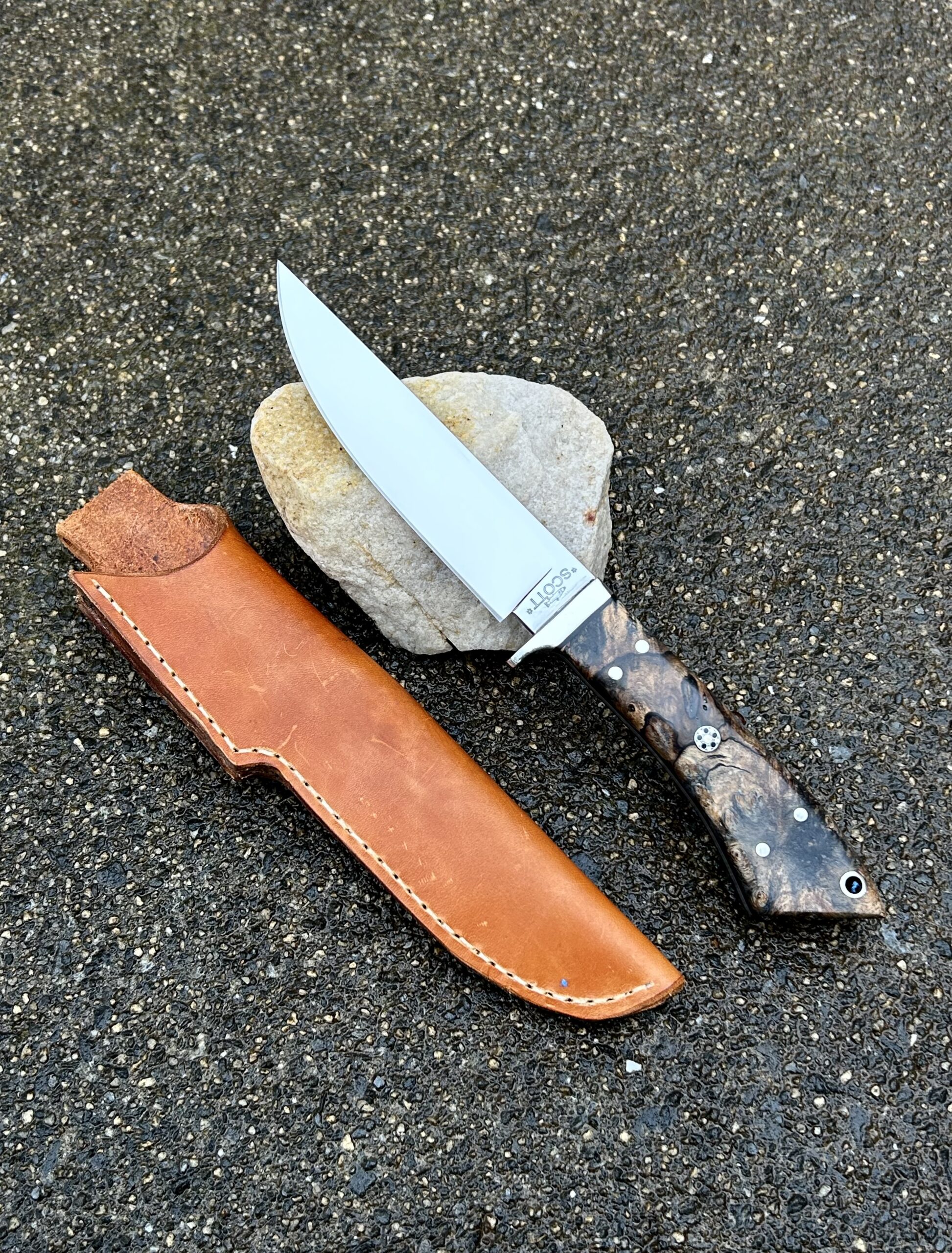 Forest VA Hunter
