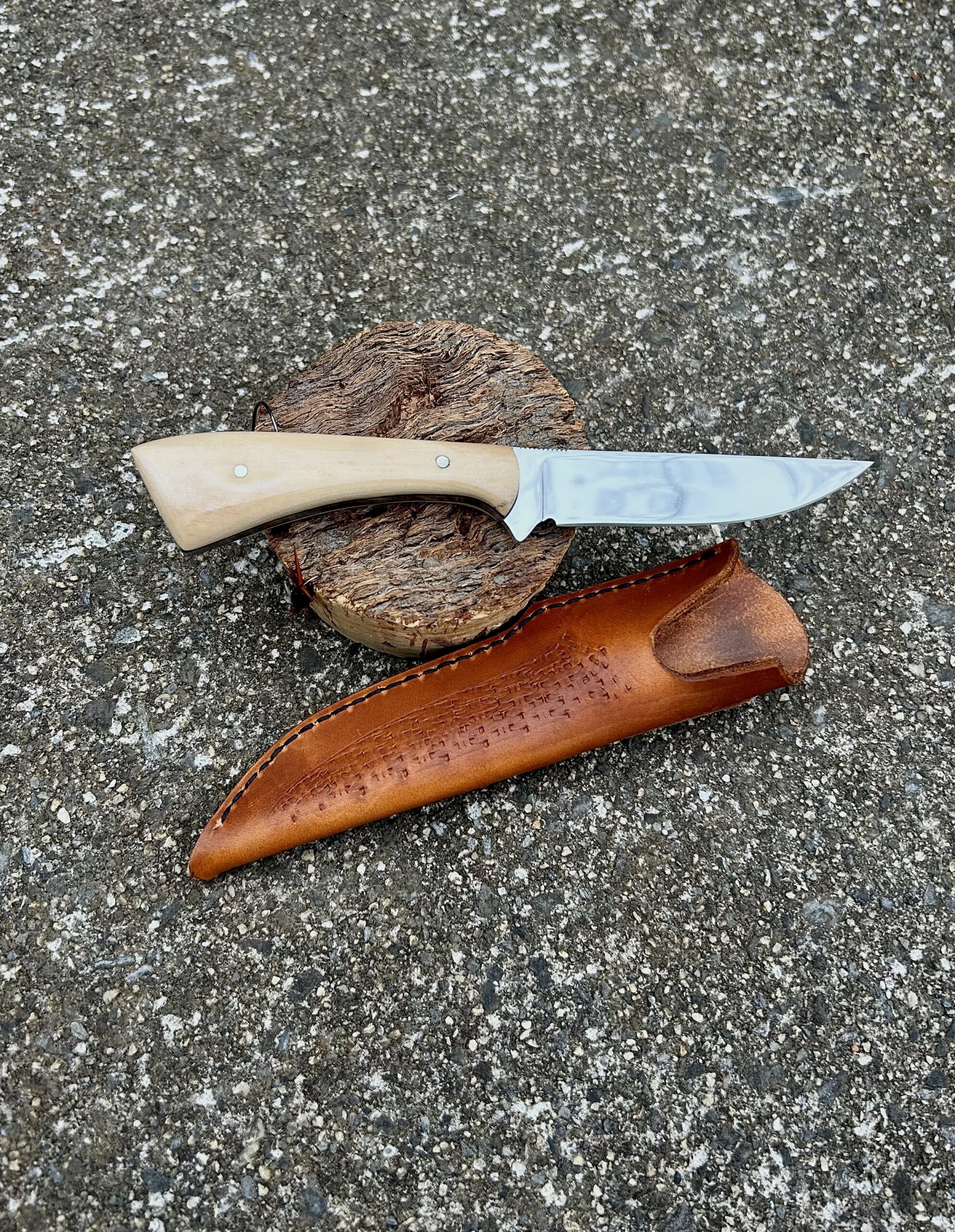 "Smith Mountain Lake" Bird & Trout