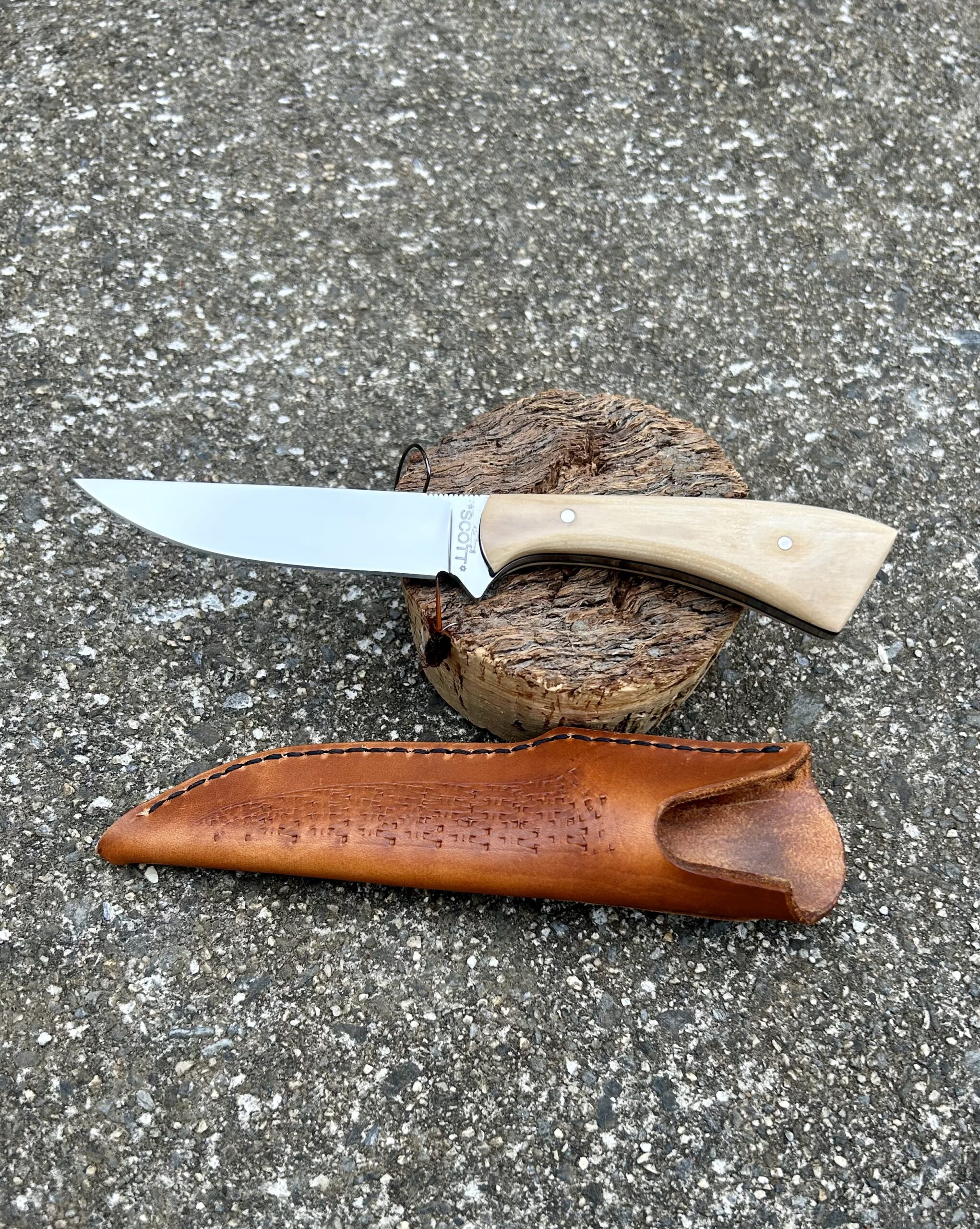 "Smith Mountain Lake" Bird & Trout